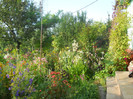 DSCN1649