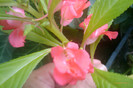 IMAG1022