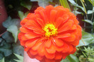 IMAG1023