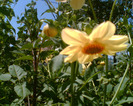 Imag015