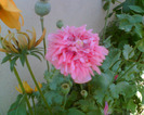 Imag008