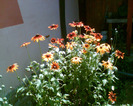 Imag011