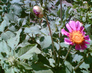 Imag012