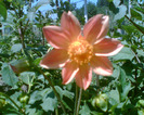 Imag014