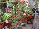 Picture 023
