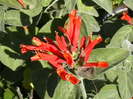 Picture 027