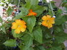 Picture 031