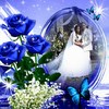 Blue Roses - 1vRTe-113 - normal