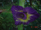 Picture 2125