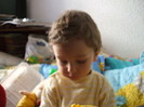 DSCF2095