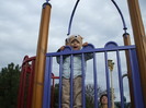 DSCF2164