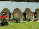 P1010489