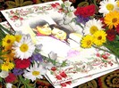 9-en-1d08ab9a19be96562ffb0f00de215f8d1