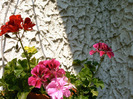 IMAG0025