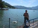 mondsee cu lebedele