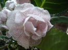 P1080875