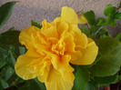 P1080888