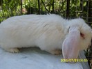 IMG_7075