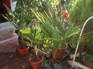 P1010131