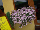 DSC09326