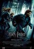 harry-potter-and-the-deathly-hallows-part-i-438158l-imagine