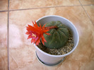 IMAG0022