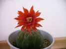 IMAG0023