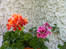 IMAG0041