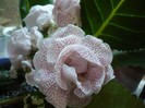 P1080902