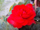 DSC02740