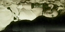 61280554