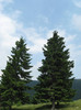TRANSALPINA-Deva, Ob Lotrului, Rinca, Tg Jiu, Deva. 050