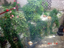 DSC01181
