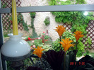 DSC01162