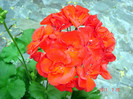 DSC01170