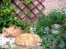 DSC01175