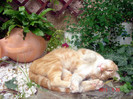 DSC01176