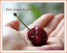 esti_cireasa_de_pe_tort_2239