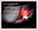 eu_sunt_inima_ta_1582