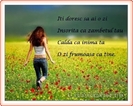 iti_doresc_sa_ai_o_zi_frumoasa_ca_tine_4881