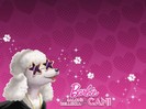 Poze din calculator (302)