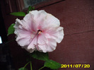 Picture 001
