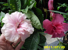 Picture 005