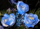 trandafiri albastri 6