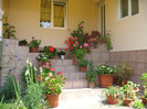 2011