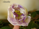 DSC03250
