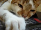 DSCN2794