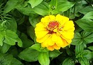 IMGP9274