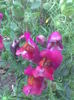 Imag022