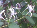 Imag028